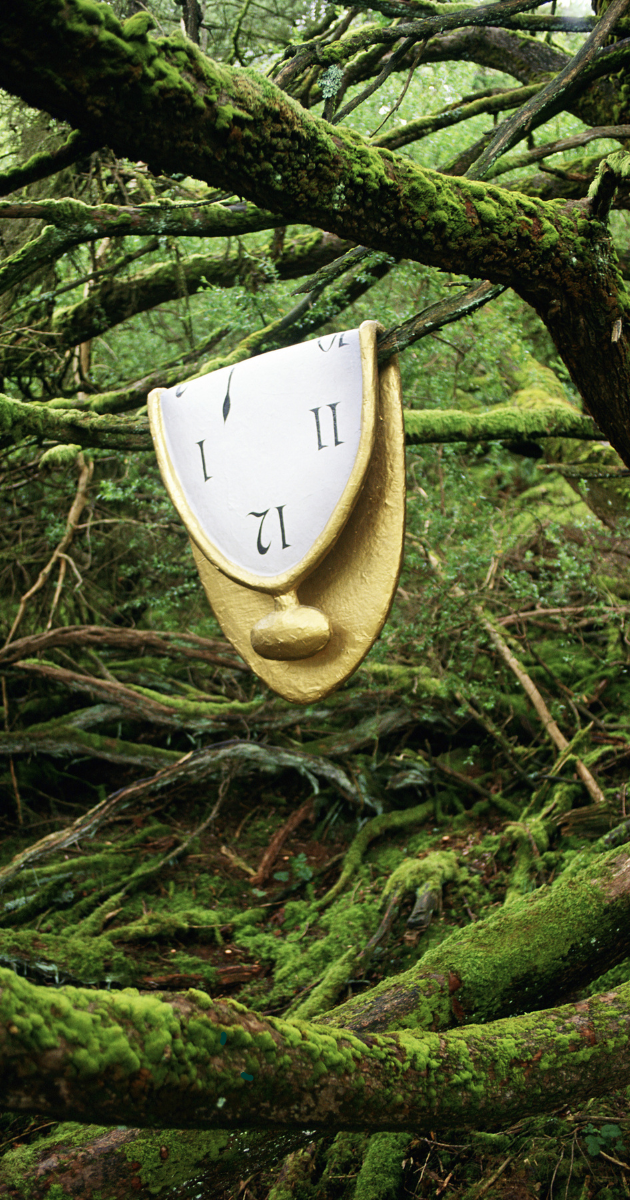 nature's biological clock
